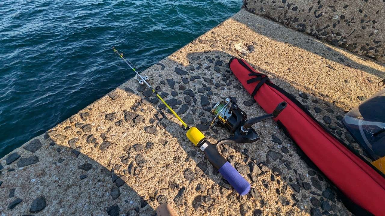 ダイソーの穴釣り竿と胴突き仕掛け