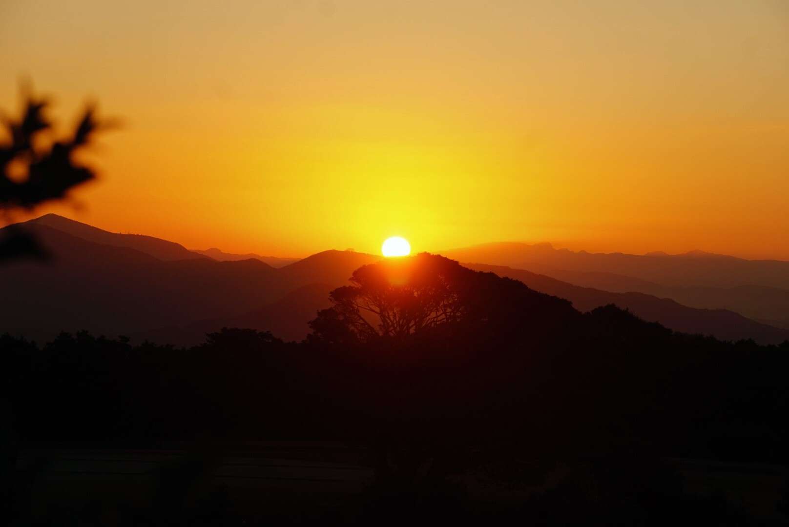 初日の出と初日の入り