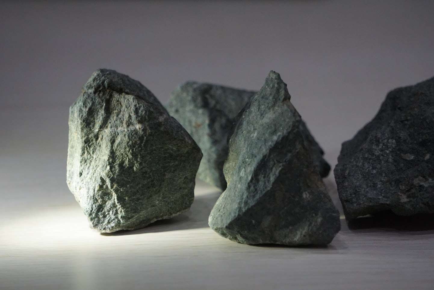 石を水槽に投入