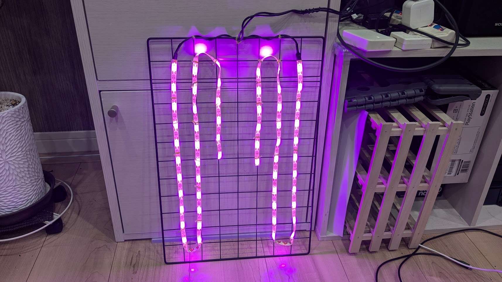 植物ライトを作りました